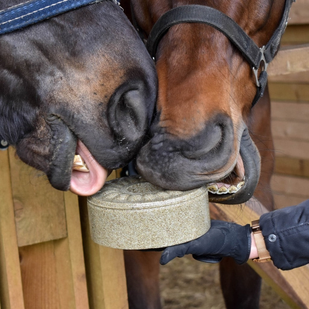 Laižomas papildas žirgmas - su himalajų druska