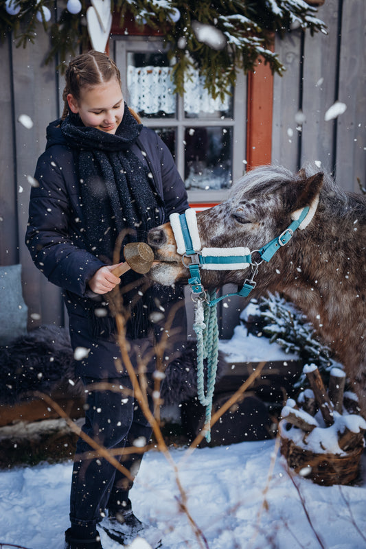 Pašaro  papildas HORSYD Ledinukas su linų sėmenimis