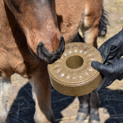 Laižomas papildas žirgams - su juodgrūde