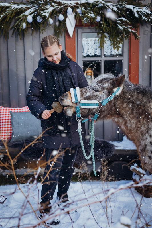 Pašaro  papildas HORSYD Ledinukas su pušų spygliais